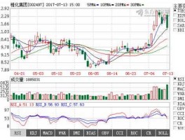 雅化集团历史最高股价（雅化集团股价历史数据）