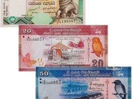 斯里兰卡货币兑换人民币，srilanka的纸币20换成人民币多少钱？