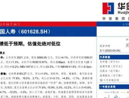 601628（601628怎么样？）