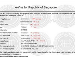 新加坡签证官网，2023年5月入境新加坡需要什么资料？