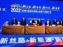 丝绸之路经济带股票（丝绸之路东软科技有限公司怎么样？）