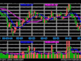 中国黄金股票，中国黄金盘有多大，是大盘股吗？