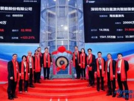 亿城股份 海行投资股是什么产业？