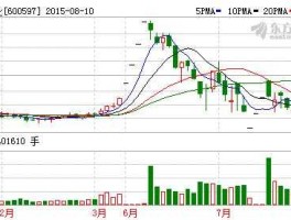 股票600597（上海光明集团下有哪些分公司？）