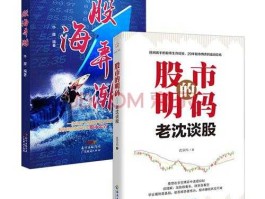 重生之股市弄潮（重生之股票起家）