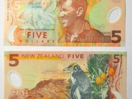 50000新西兰元是多少人民币(新西兰5元等于多少人民币)