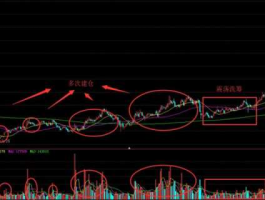 深度解析股市庄股（庄股的最明显特征视频）