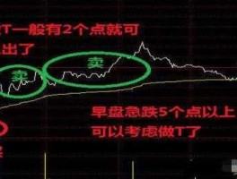 股市中出现T（股市中出现T是什么意思）