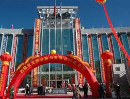 西部矿业吧（有青海的老乡知道西部镁业怎么样吗？）