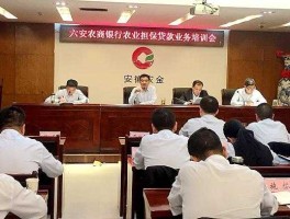 微交易 金盛微交易 六安农商行有哪些网点？