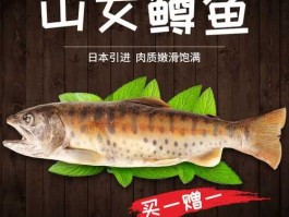 虹鳟鱼价格 山女鳟有多贵？