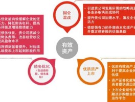 混合所有制与国企改革新思路？混改实施方案？