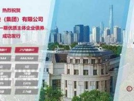 上海城投控股，上海商住两用房品牌排行榜？