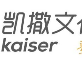 凯撒文化（凯撒文化做什么的？）