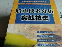 股市技术分析实战技法雪峰（股市技术分析入门课程）