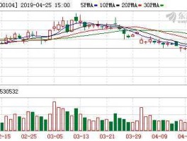 300104 st退市的股票有哪些？