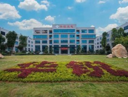 漳州发展公司 漳州发展股份有限公司待遇？