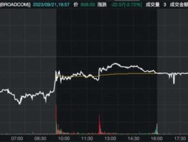 broadcom股票（brlt股票）