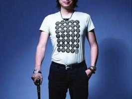 王麒诚？什么是漫书艺术？麻烦大神解释下？