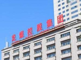 龙煤控股集团？黑龙江龙煤矿业集团股份有限公司怎么样？