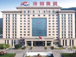 洛阳钼业集团是国企吗（洛阳钼业公司是国企吗）