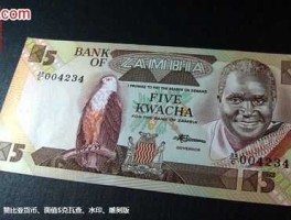 赞比亚货币兑换人民币（赞比亚钱币兑换人民币）