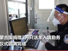 蒙古捐的3万只羊全部入境，蒙古国赠送3万只羊怎么处理？