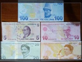 1新土耳其里拉（土耳其货币名称是什么？）