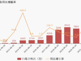 胜利股份2022年中报（胜利股份前景如何）