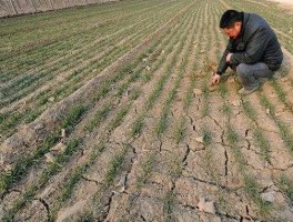 600532股票，河南为什么干旱？