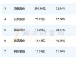 中科英华股吧？江西铜箔生产厂家十大排名？