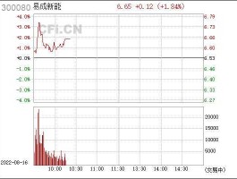 300080股票？新能源的龙头股票有那些？
