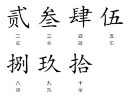 9的大写(9的大写是什么字母)