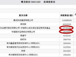 腾龙集团股市（腾龙集团股市最新消息）