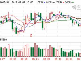 002431股票？棕榈股份可以长期持有吗？