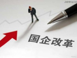 国企混改详细方案（国企混改被叫停）