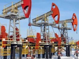 山东石油分公司？滨州炼油厂有哪些？