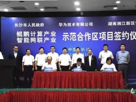 湘江鲲鹏，华为云第一大合作伙伴？