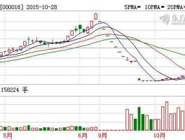 深康佳股票，2开头的是什么股票？