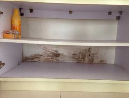 杨勋？杨家将里7个儿子死的顺序？