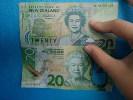 1新西兰币   人民币(新西兰币折合人民币多少)