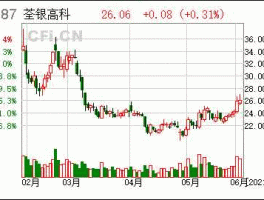 300087 什么是荃银高科（300087）？