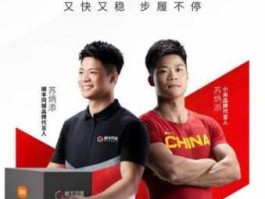 凡客小米，顺丰和小米哪个公司强大？