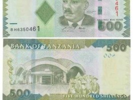 坦桑尼亚货币兑换人民币，怎样往坦桑尼亚汇款？