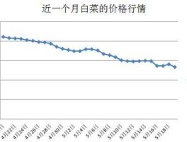 白菜价格 2022年大白菜价格预测？
