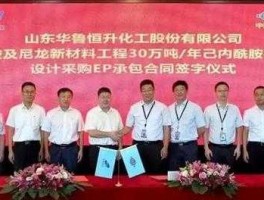 华鲁恒生？山东化工企业排名？