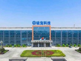 硅宝科技重组（硅宝科技 产能）
