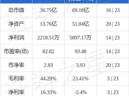 华金资本股票千股千评（华金资本股票行情）