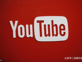 陈士骏？yt是什么的简称？