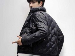 高梵，鸭鸭和高梵哪个好？